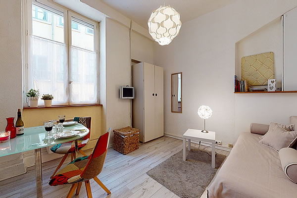 furnished rental lyon